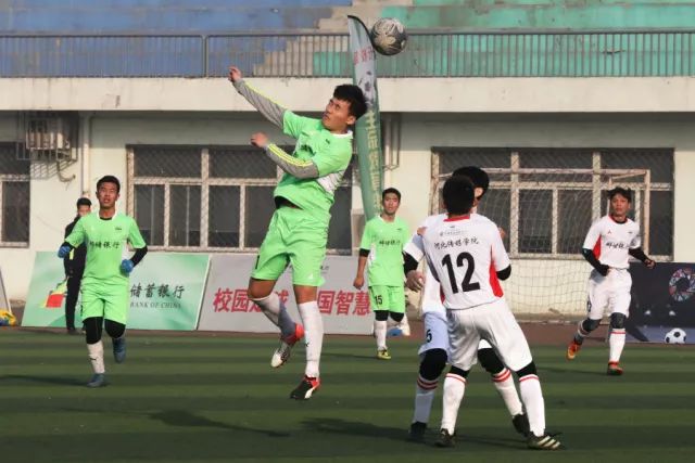 森林狼宣布新赛季教练团队调整及人员任命